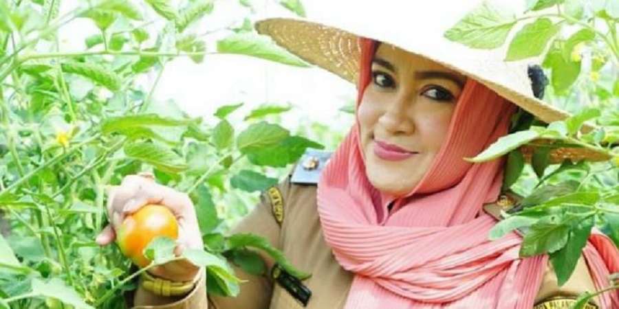 Wakil Wali Kota Palangka Raya, Hj. Umi Mastikah mengatakan bahwa Kota Palangka Raya memiliki cakupan wilayah yang cukup luas. Dengan modal tersebut maka